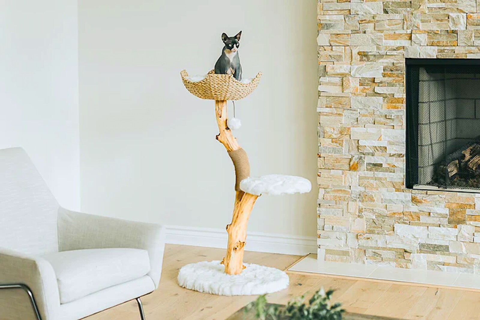 Pet Sized Pieces for Home Decor